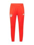 Pantalon de sport 'Fc Bayern Tiro 23 Training Bottoms'