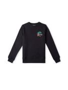 Sweat-shirt 'Circle Surfer Crew'