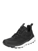 Chaussure basse 'FREE HIKER 2'