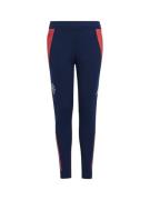 Pantalon de sport 'Manchester United Tiro 24'