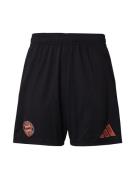 Pantalon de sport 'FC Bayern München Away 24-25'