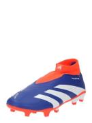 Chaussure de foot 'Predator League'