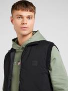 Gilet 'P-Dragone'