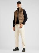 Gilet 'Odeno1'