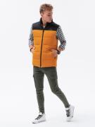 Gilet 'V36'