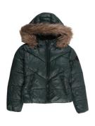 Veste d’hiver 'KOGFEVER'