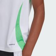 T-Shirt fonctionnel ' Algeria 24 Home'