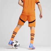 Pantalon de sport 'FC Shakhtar Donetsk 24/25'