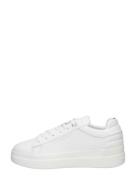 Tommy Hilfiger - Feminine Elevated Sneaker