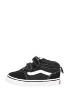 Vans - Td Ward Mid V