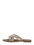 Lazamani - Open Teen