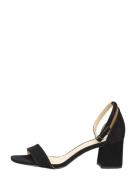 Tango - Brooklynn 15-e