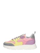 Steve Madden - Pitty