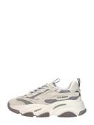 Steve Madden - Possession