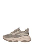 Steve Madden - Jpossesion