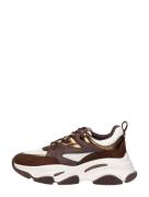 Steve Madden - Jprogressive