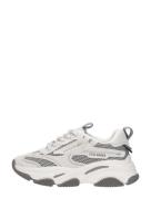 Steve Madden - Jpossesion