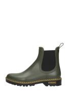 Verbenas - Gaudi Countryside