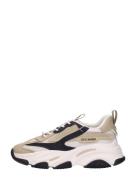 Steve Madden - Possession-e