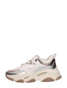 Steve Madden - Progressive