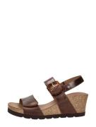 Panama Jack - Valle Clay