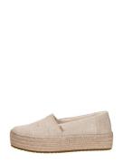 Toms - Valencia