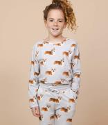 SNURK Nachtmode & Loungewear Corgi Time Sweater Kids Grijs