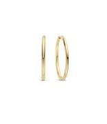 925 Sterling Silver Earrings 78007SY