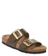 Sydney Cushion Buckle Synthetik Narrow