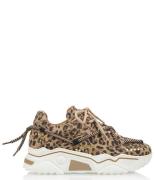 Jupiter Studs Leopard