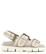 Bio Two Buckles And Back Strap