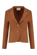 Helena Hart 6022 blazer chris transfer mocca