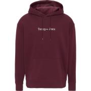 Tommy Hilfiger Reg linear hoodie