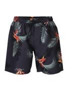 Brunotti maron-ao men swimshort -