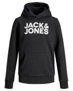 Jack & Jones Sweat 12152841