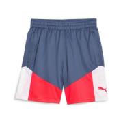 Puma individualcup shorts -