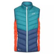 Regatta Heren harrock body warmer