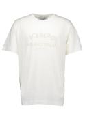 Iceberg T-shirts