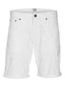 Jack & Jones Jwhrick original short akm sn