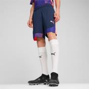 Puma Individualfinal shorts 659584-01