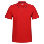 Regatta Heren forley poloshirt