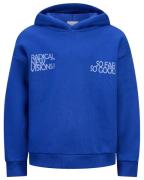 Retour Hoodie rjb-43-713 guy