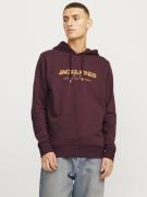 Jack & Jones Jjalvis sweat hood