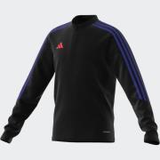 Adidas tiro23 cbtrtopy -