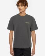 Dickies T-shirt korte mouw dk0a863ablk1