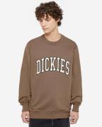 Dickies Sweatshirt dk0a4xabj961