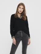 Jacqueline de Yong Jdynew megan l/s pullover knt noos