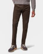 Pierre Cardin Chino