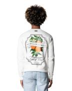 Quotrell Mineola crewneck sweater