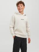 Jack & Jones Jorvesterbro sweat hood noos jnr